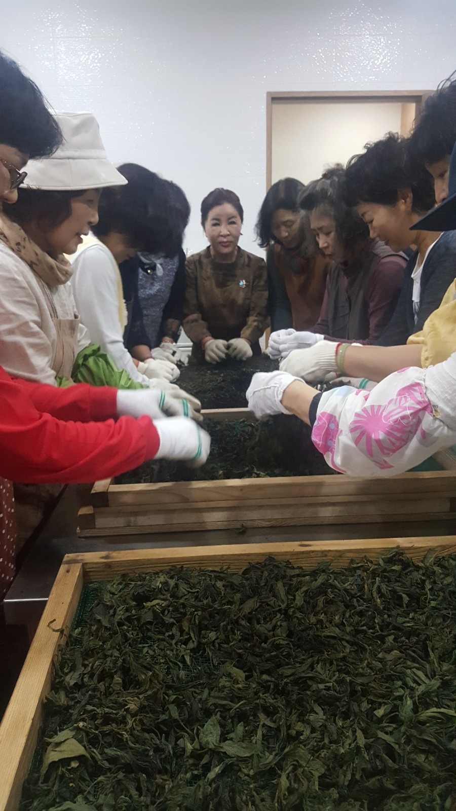 탐라차문화원 이미지