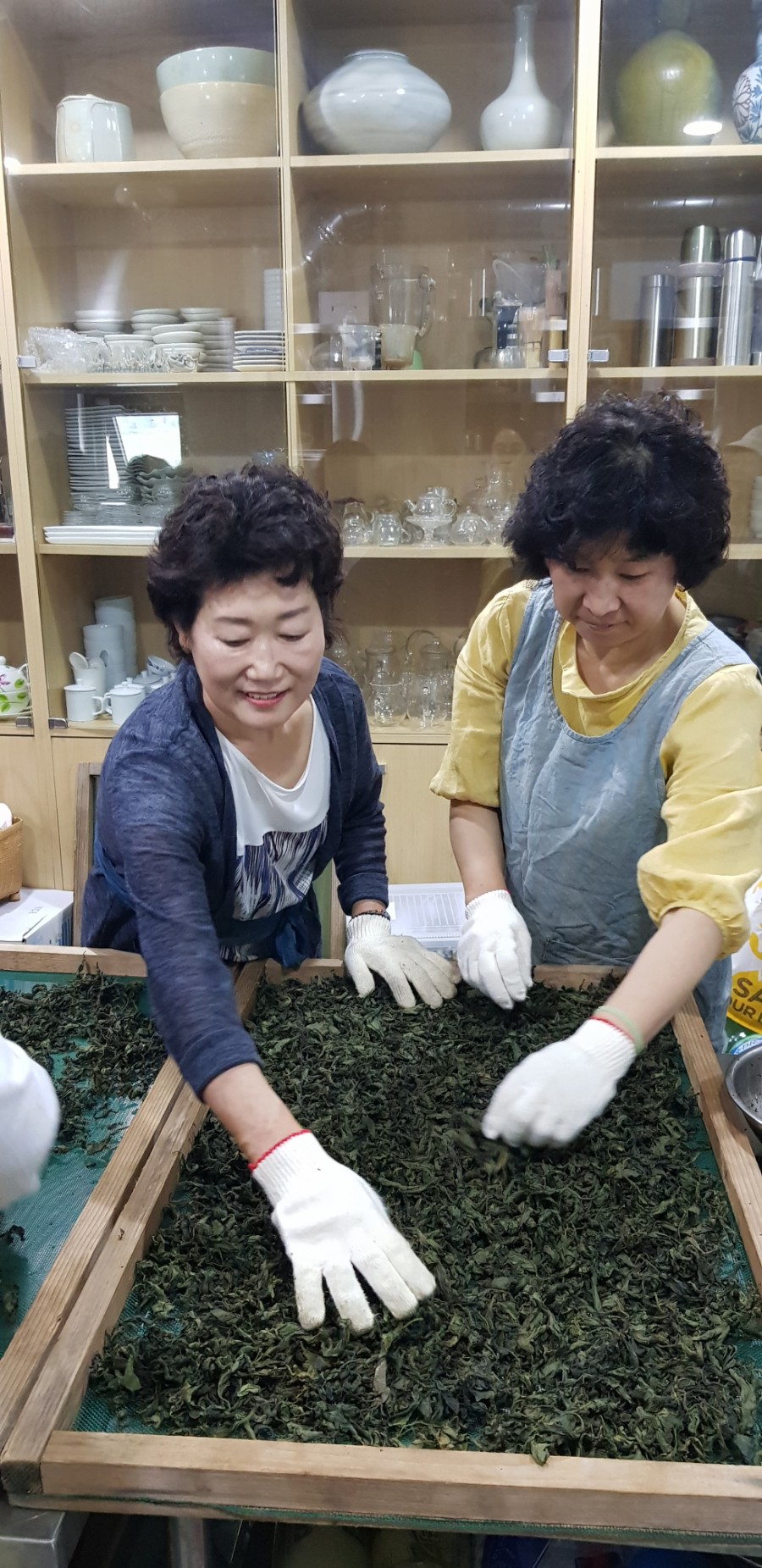 탐라차문화원 이미지