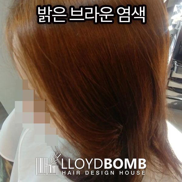 로이드밤 구서점 이미지