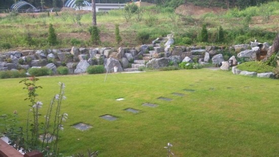 춘천 더숲 캠핑장 이미지