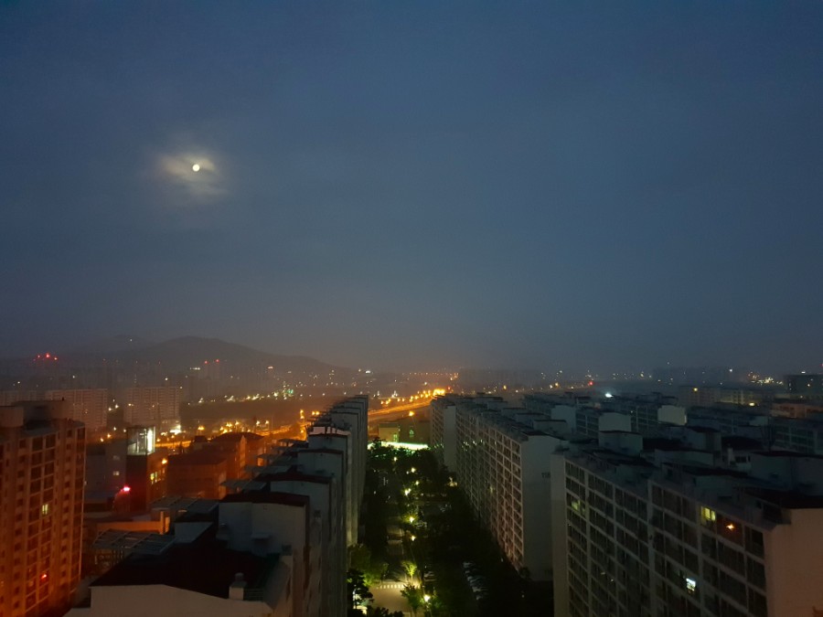정세무사 이미지