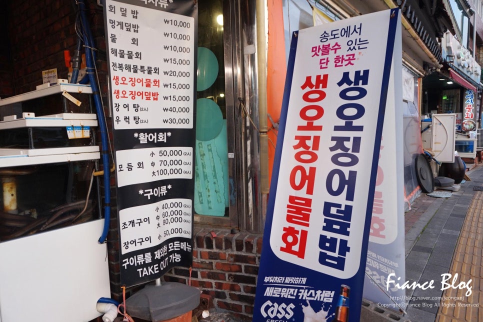 산호포차 이미지