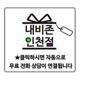 내비존 이미지
