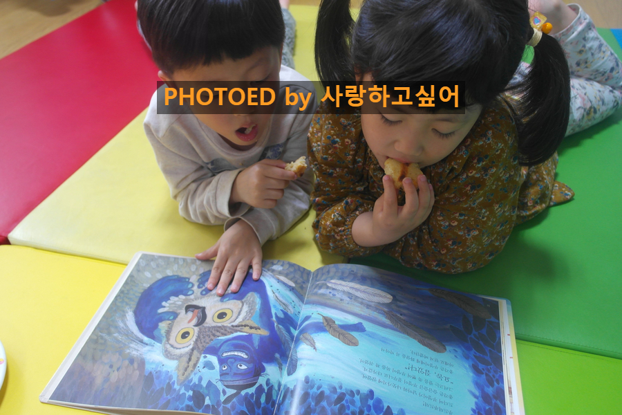 총각전집 이미지