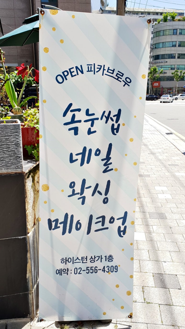 피카브로우 이미지