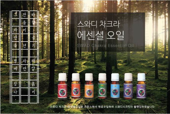 차크라에스테틱 이미지