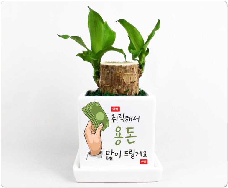 조아그린 이미지