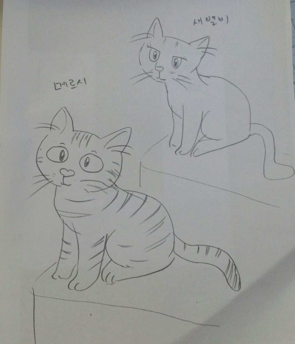 코코리사 이미지