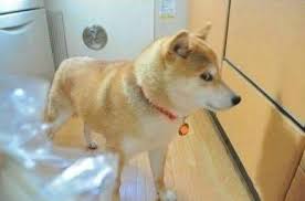 이슬목장 이미지