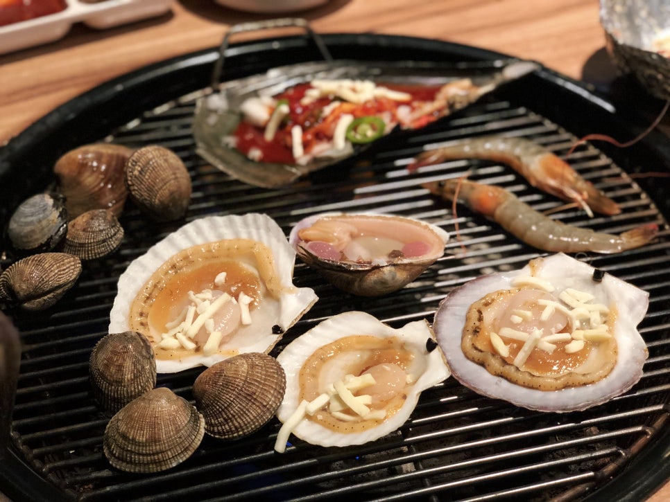 조개본능 이미지