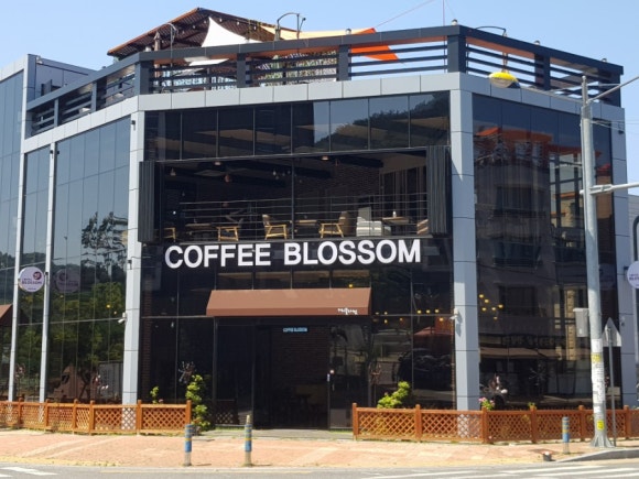커피블러썸(coffee blossom) 이미지