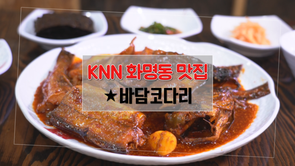 바담코다리 이미지