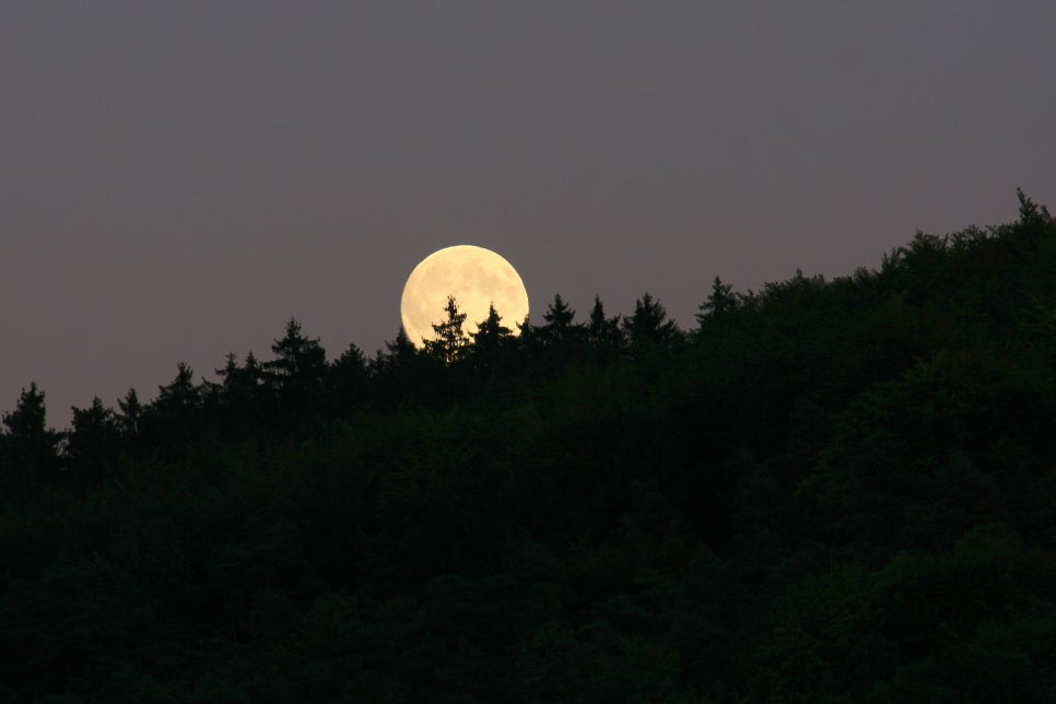 반찬이야기 이미지