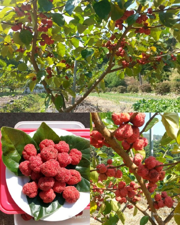 (주)태산개발 이미지