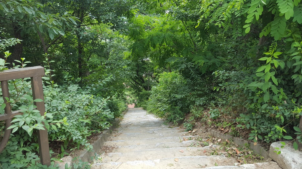솔뜰캠핑장 앞 이미지