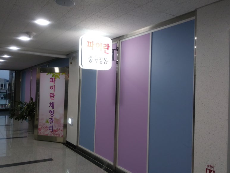 파이란체형관리 이미지