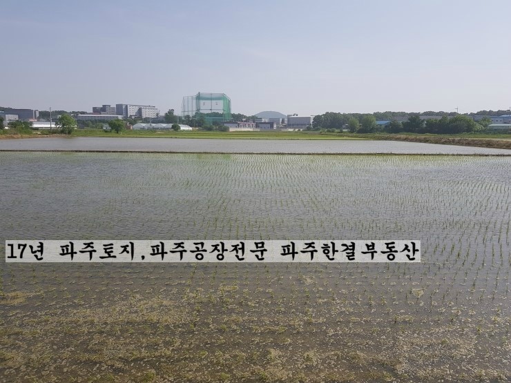 미립회계법인 이미지