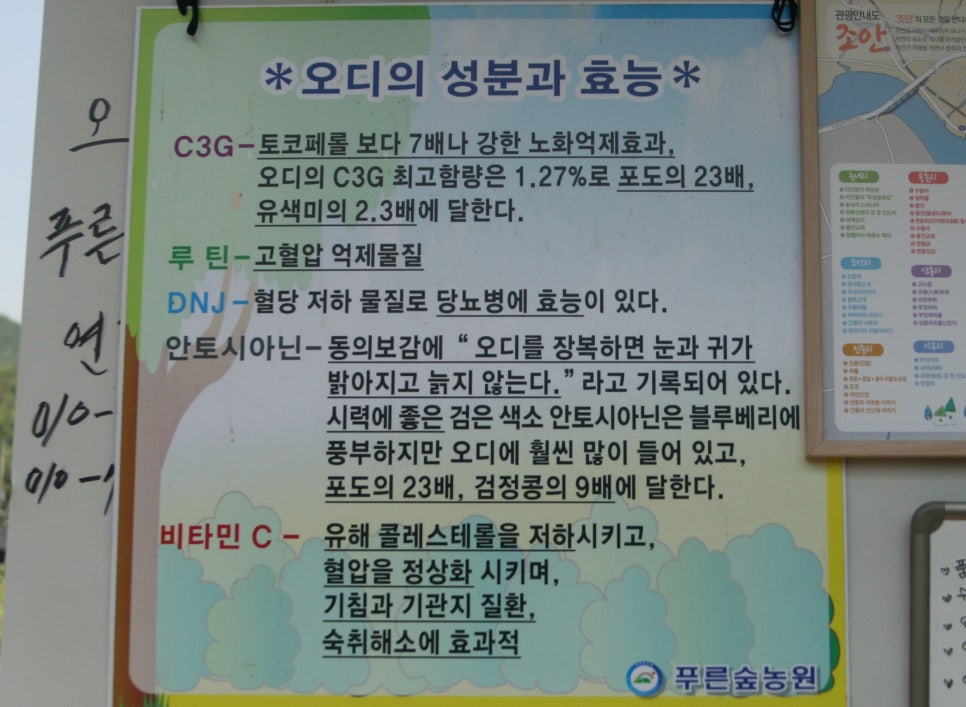 푸른숲농원 이미지