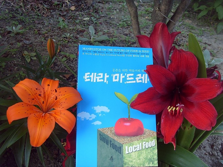 테라마드레 이미지