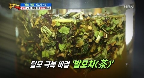 양동약초 이미지
