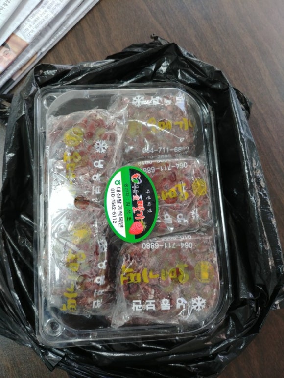 동동구르모 이미지