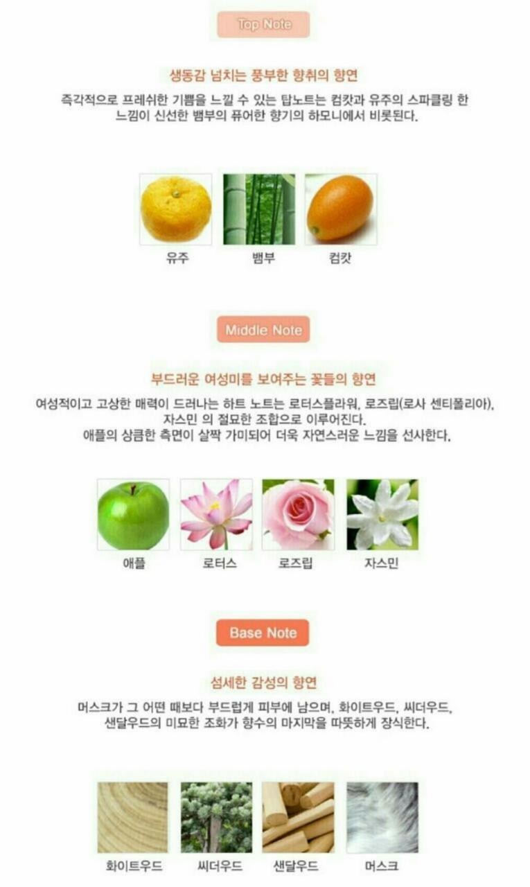 델리케이트 이미지