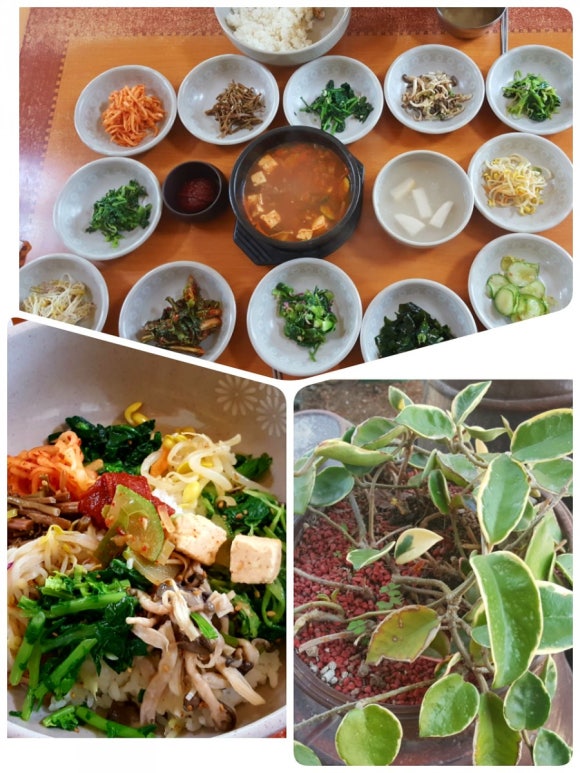 파란마음도예공방 이미지