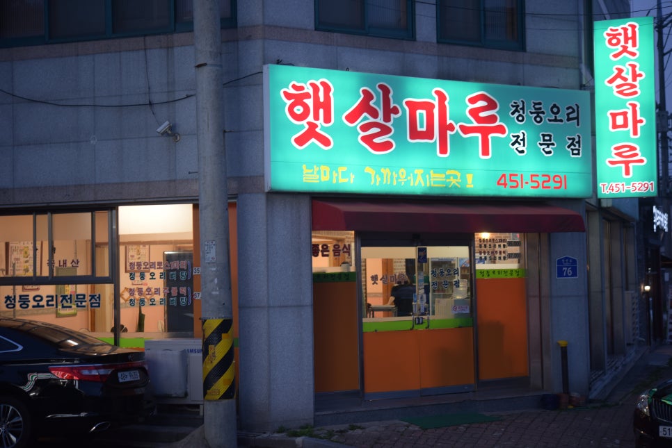 햇살마루청둥오리 이미지