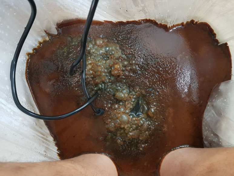 디톡스족욕힐링카페 이미지