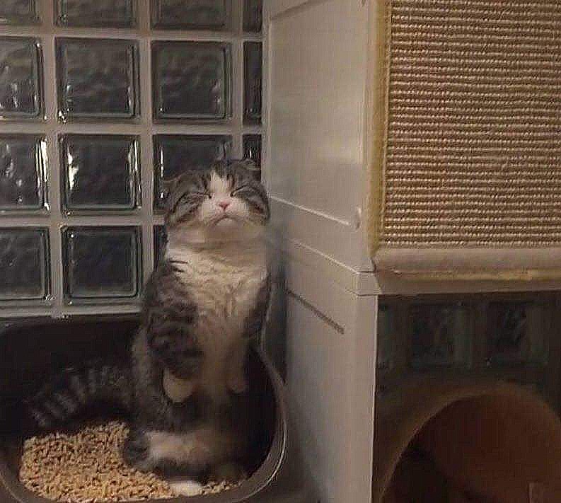 네일당당 이미지