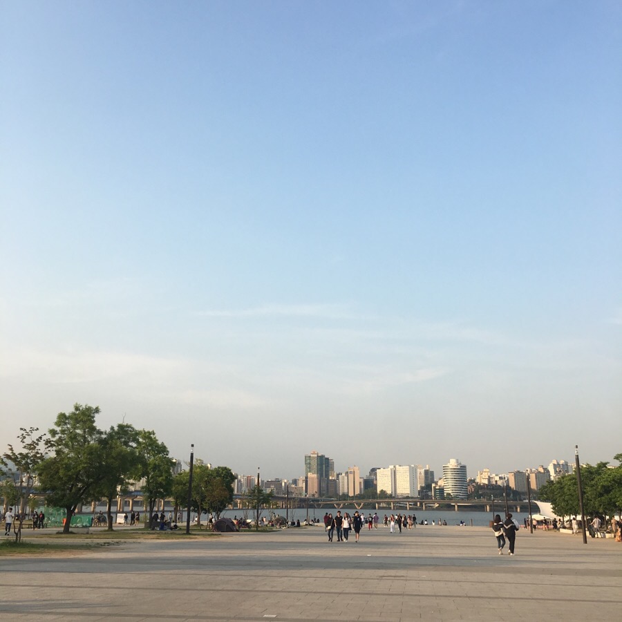 데일리샤 이미지