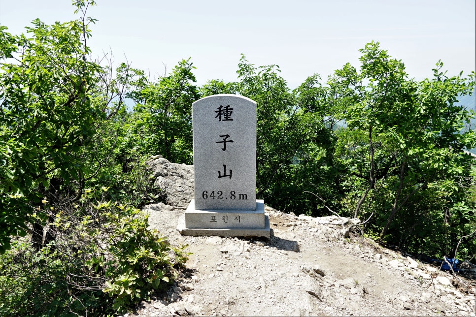 종자산 정상 이미지