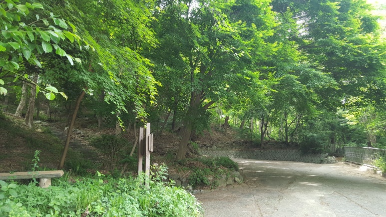 요카카오토캠핑장;요카카관광농원 이미지