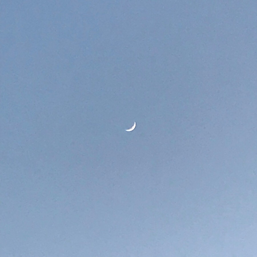 리얼캠핑 이미지