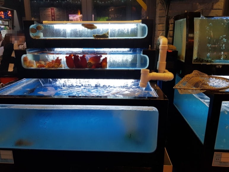 뚝도수산 이미지