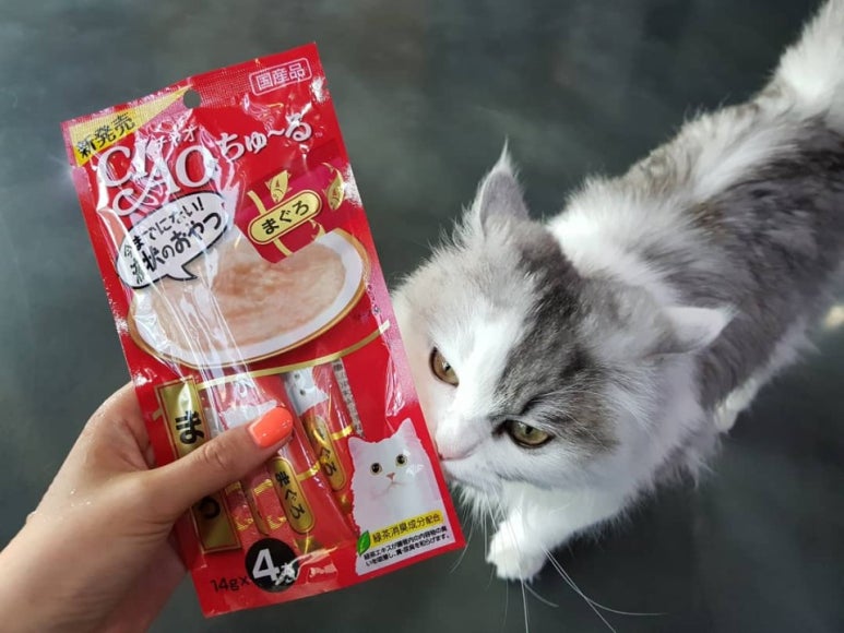 네일츄르 이미지