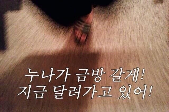 머리사랑하성 이미지