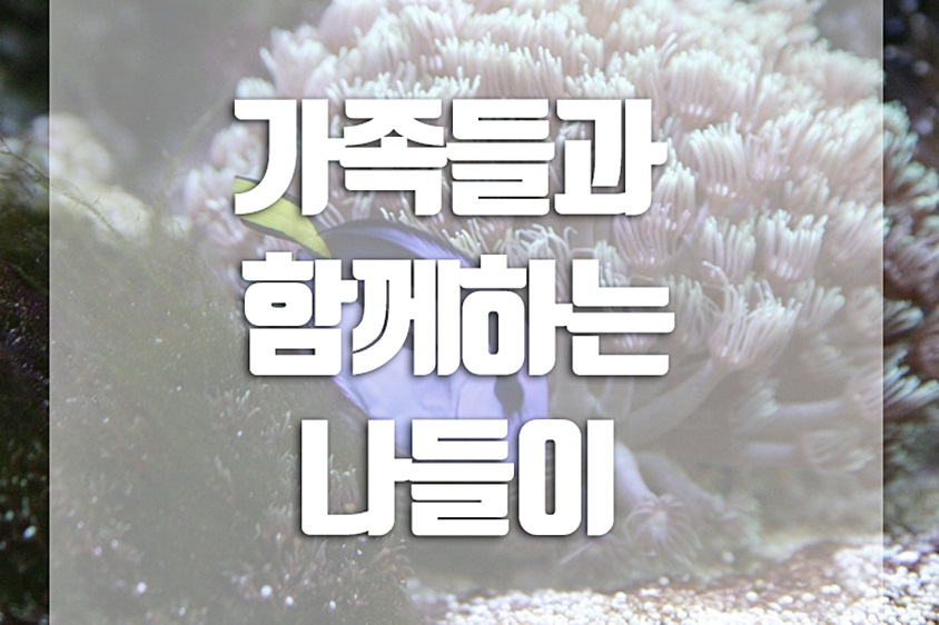 나비공간 이미지