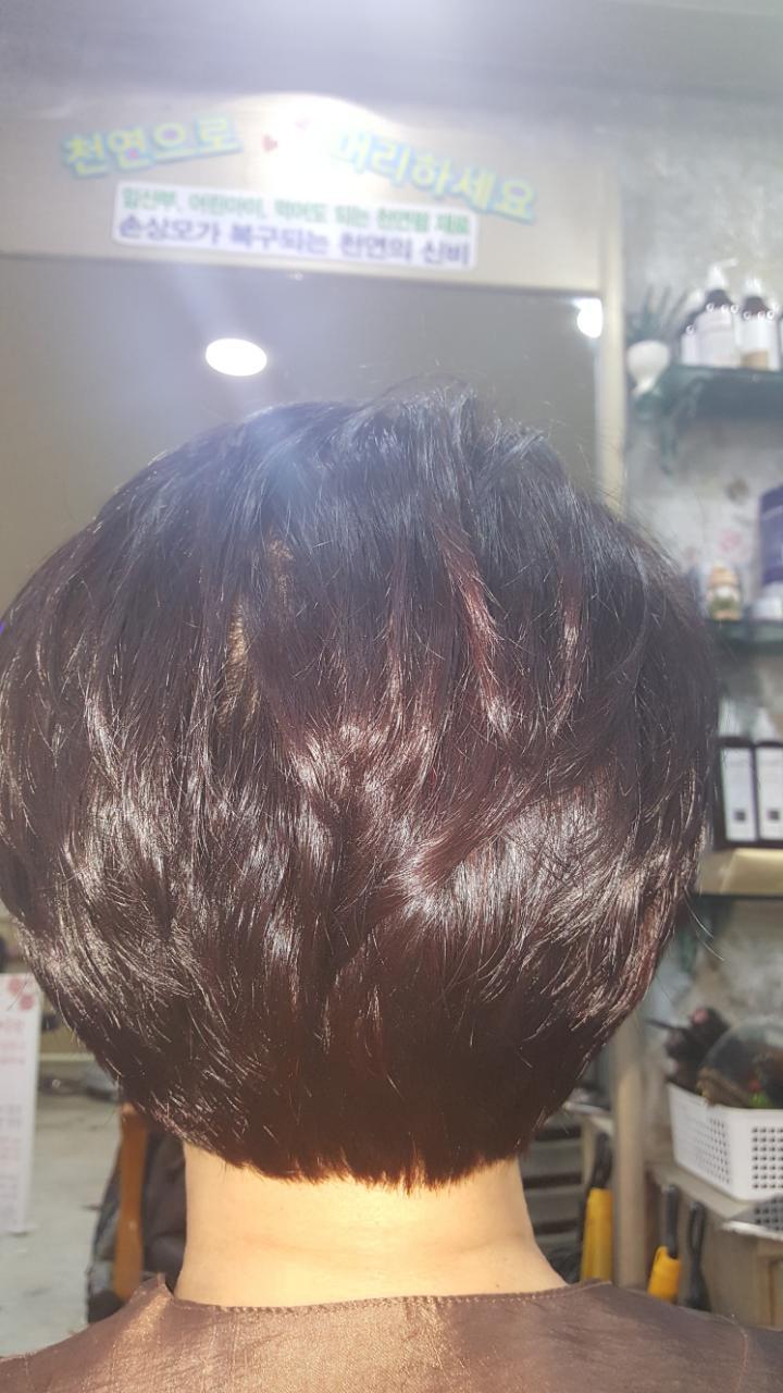 매직랜드 이미지