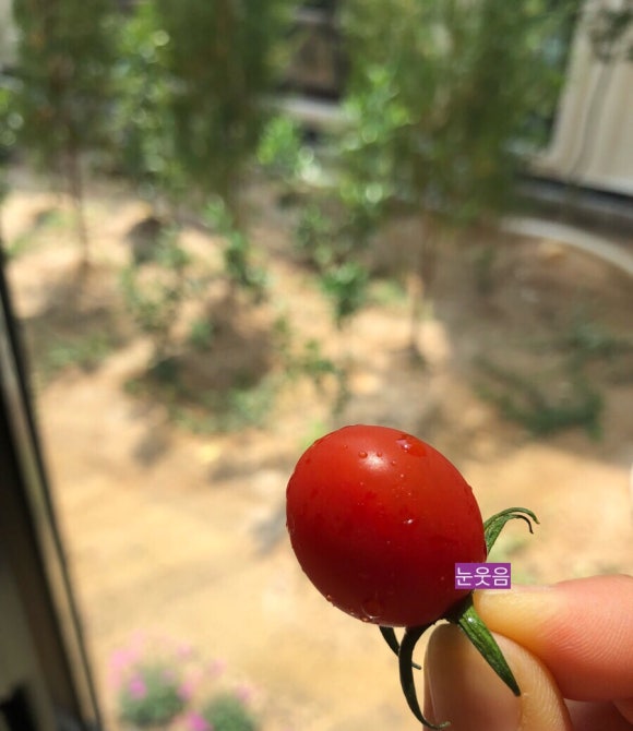 강군커피오리지널스 이미지