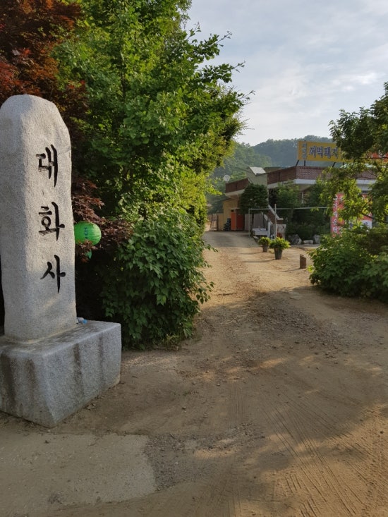 대화사 이미지