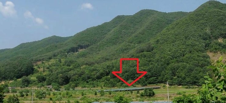 상촌면궁촌리 이미지