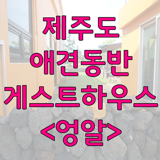 엉알펍 이미지