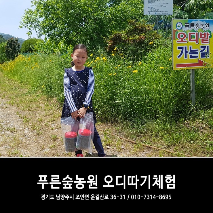 푸른숲농원 이미지