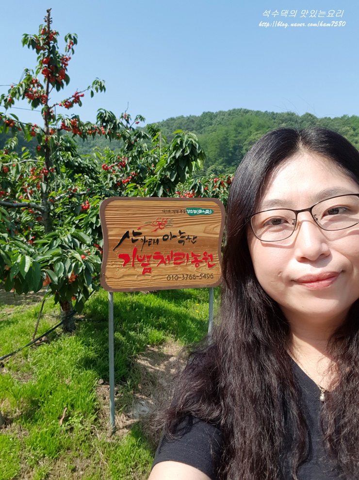 체리사랑농원 이미지