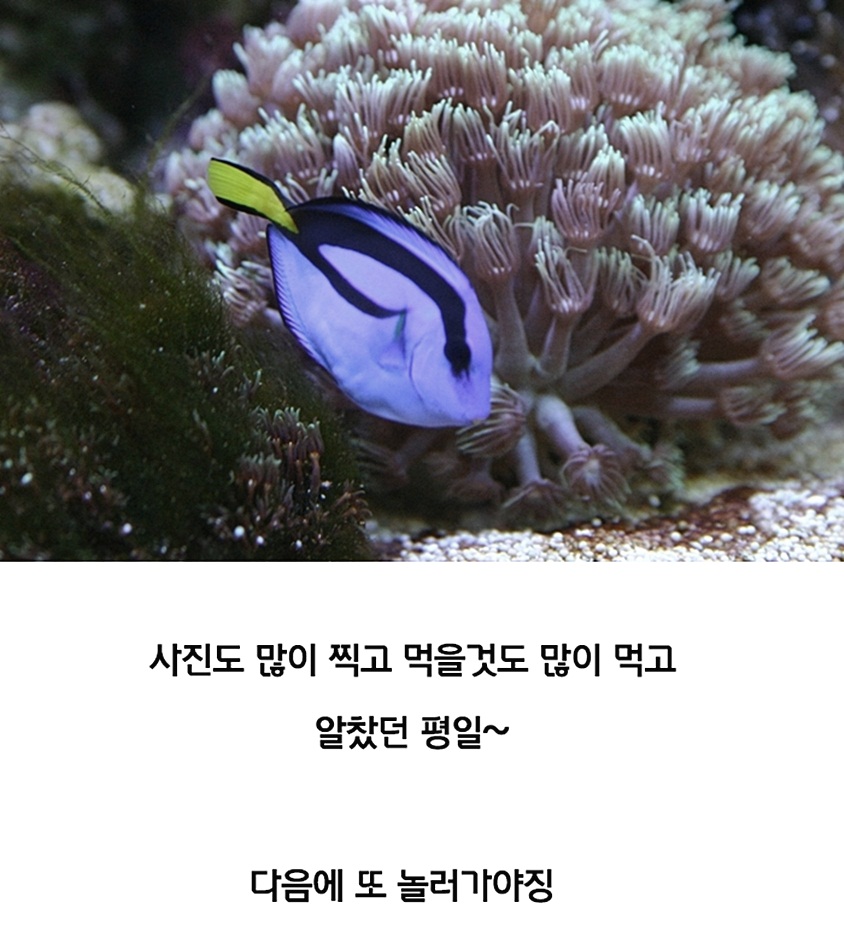 나비공간 이미지