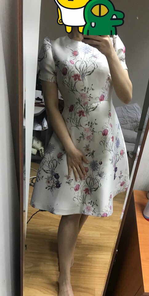 그라치오소 이미지
