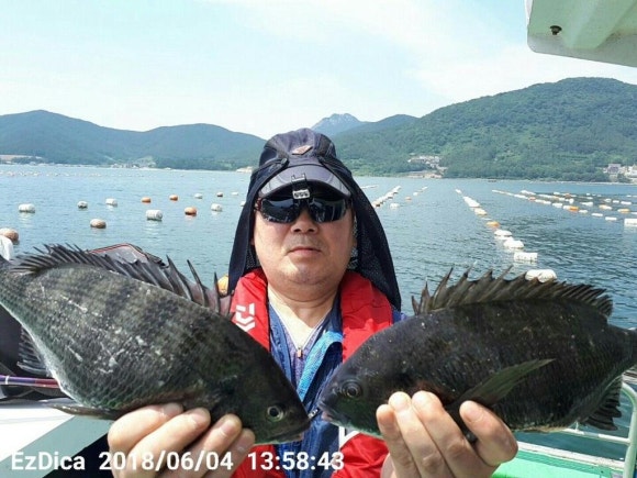 대*****물 이미지