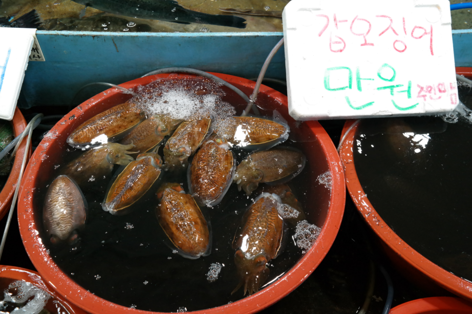 낭만수산 이미지