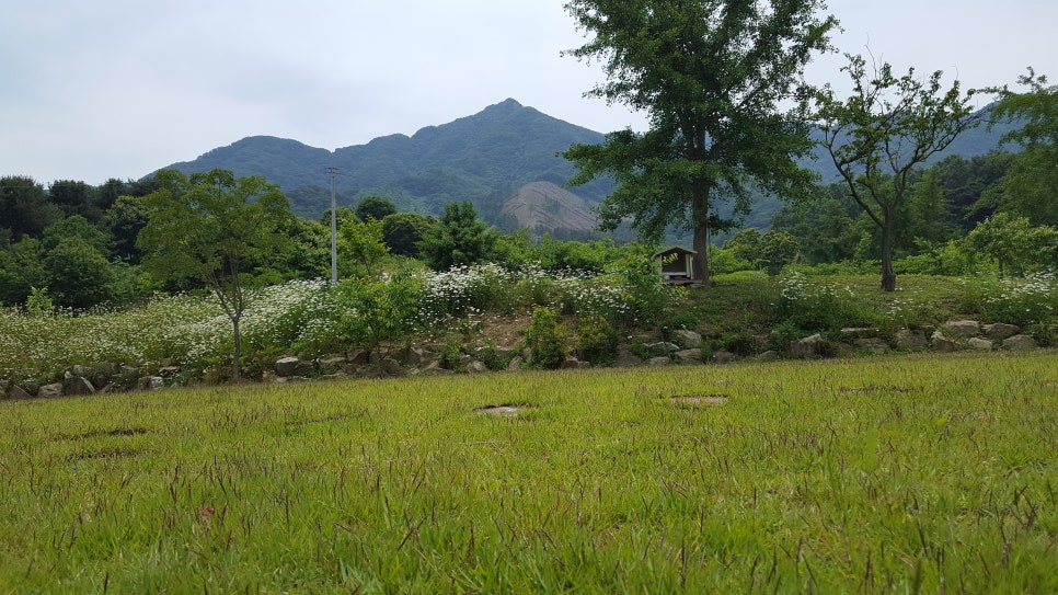 현대야영장 이미지